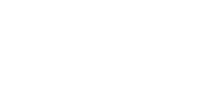 LOGO CENTURY